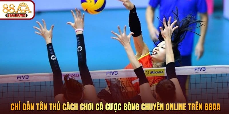 Chỉ dẫn tân thủ cách chơi cá cược bóng chuyền online trên 88AA